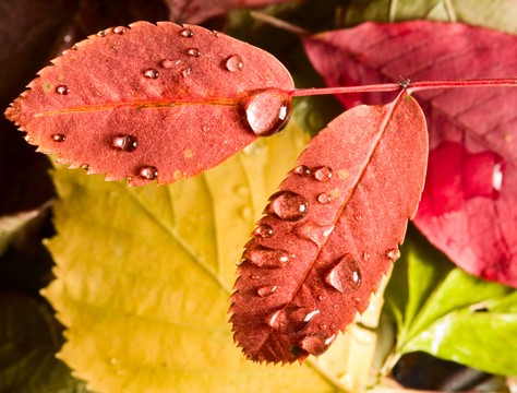Heerlijke herfst