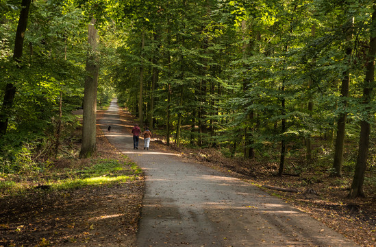 Wandelen